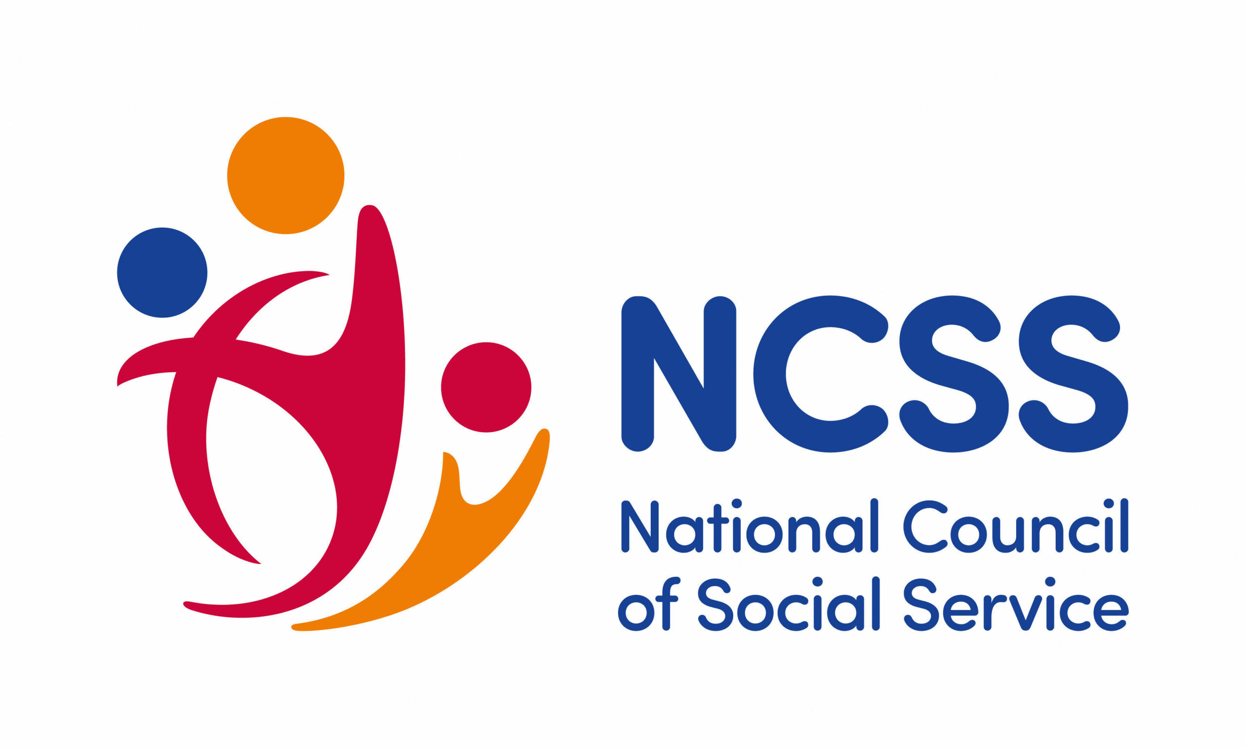 NCSS Logo